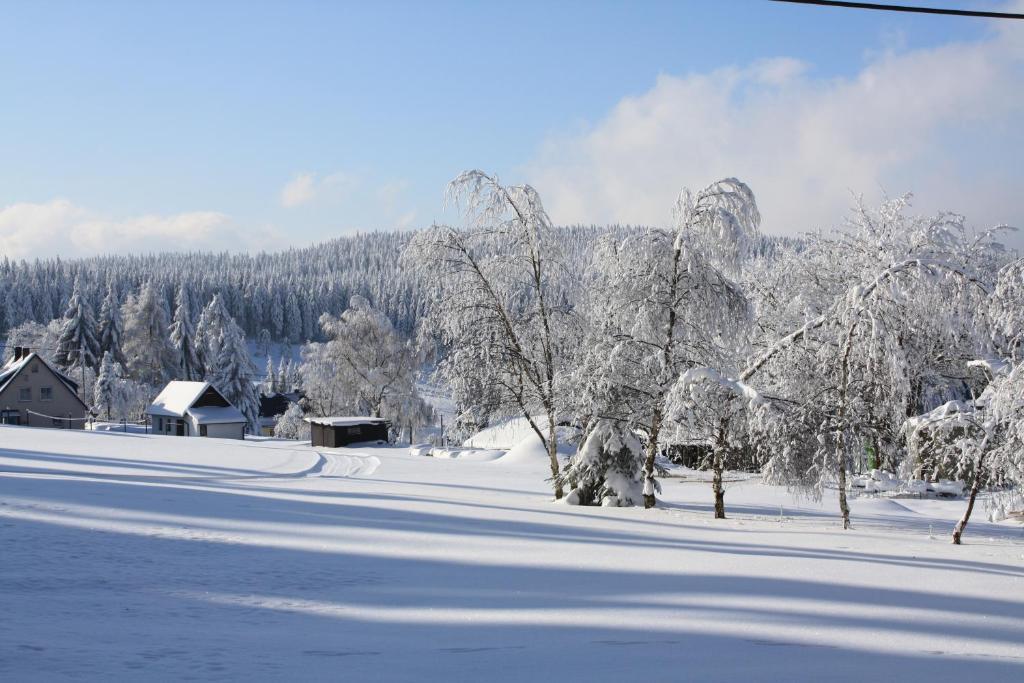 Ferienhotel Muehlleithen Klingenthal Exterior foto